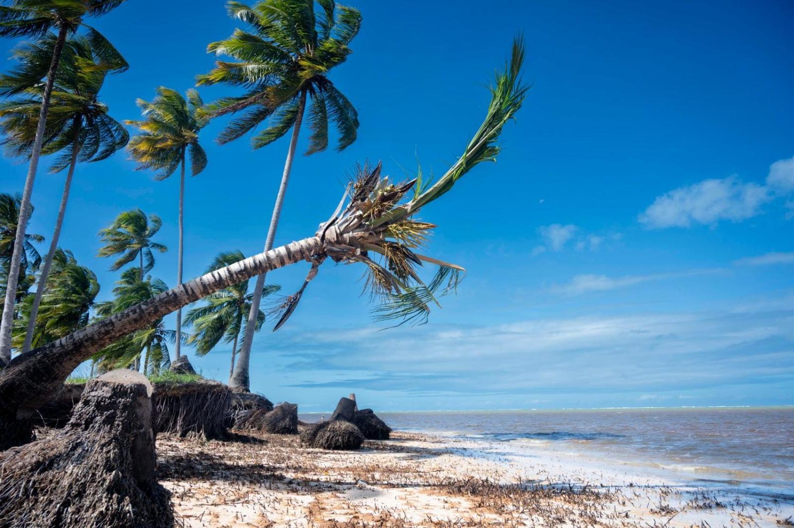 Bangalo Verde Recanto Uana - 280M Praia Tatuamunha Maceió Exterior foto